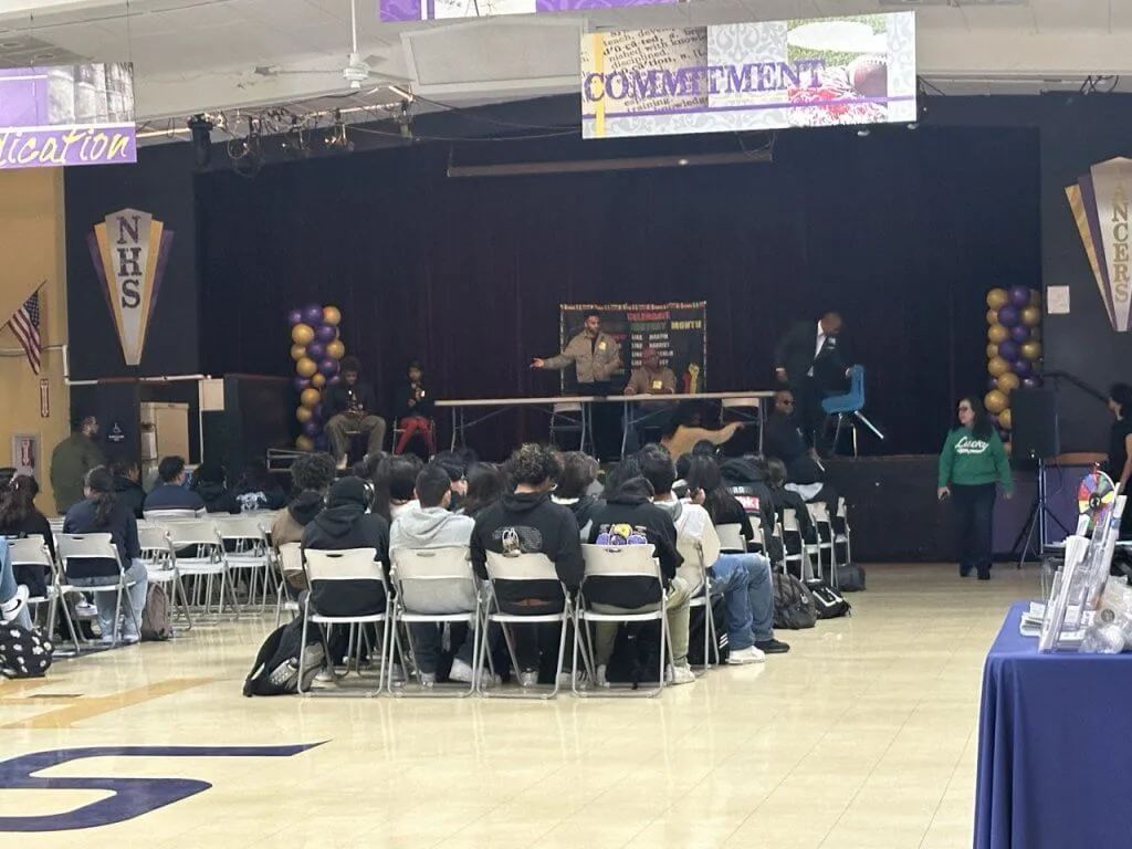 13361532-BC97-4E38-8BD2-D972F00132D7 Large